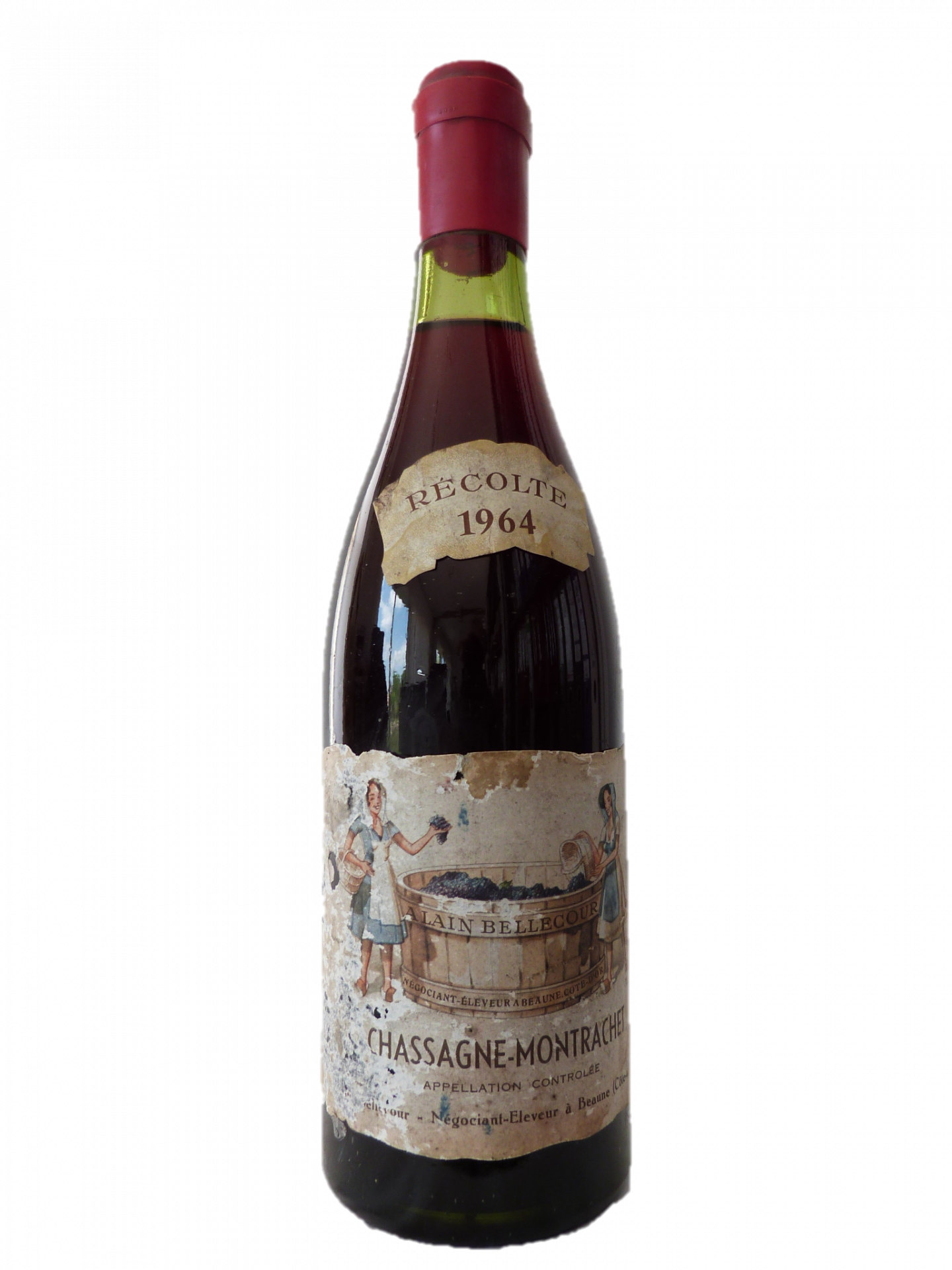 Chassagne Montrachet