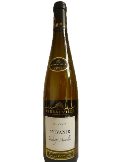 Alsace Sylvaner